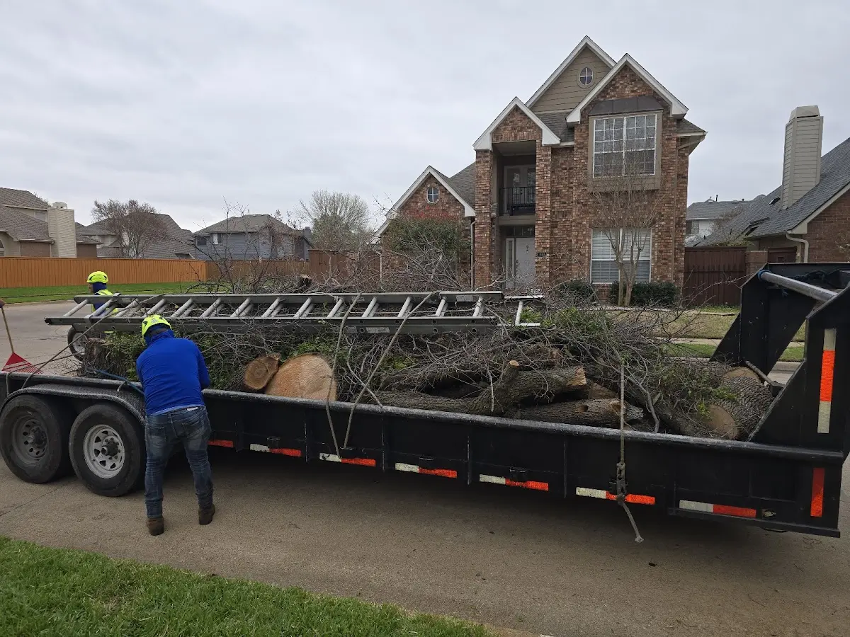 Expert Lot Clearing with proper safety equipment in Taft